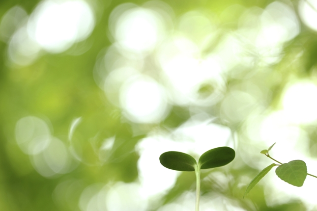 飯塚市ひとみ整体院の施術料金一覧(50分3,500円)