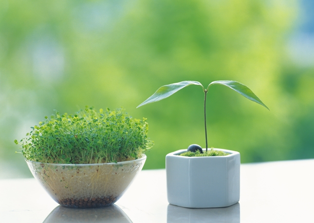 飯塚市のひとみ整体院の清潔で落ち着いた施術室