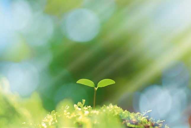 飯塚市ひとみ整体院の落ち着いた院内風景